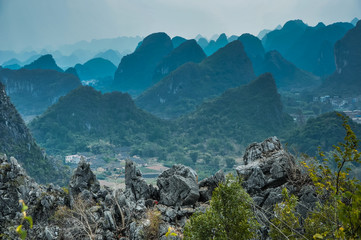 简单的科普知识问答题
