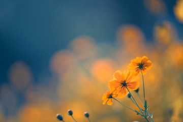 科室护士长对护士考核评语