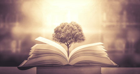 动植物的象征意义