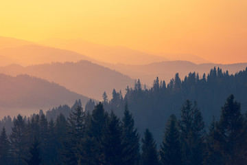 三国中 比较经典的典故有哪些