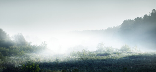 小学三年级语文《点金术》教案