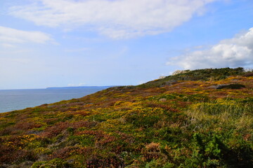 会说话的汤姆猫里面有哪些游戏