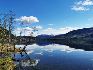 俗世奇人有哪些？