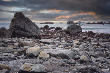 昆虫记中大头黑步甲的特点