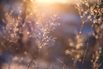 影响海钓鱼口的3个因素