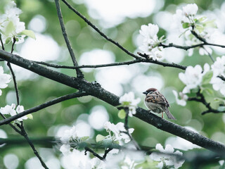 站直用英语怎么说