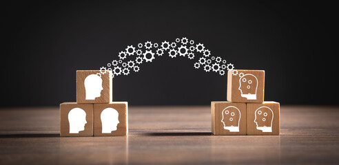 含羞草精彩句段