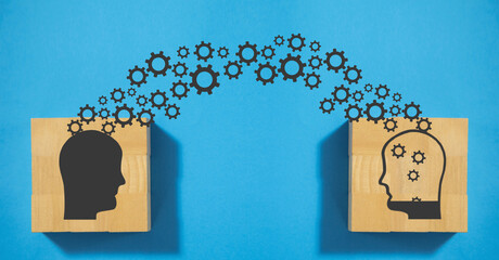 新手养蜂入门技术