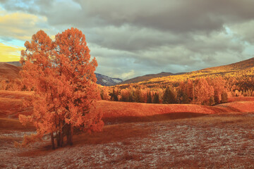 最常见的十种细菌