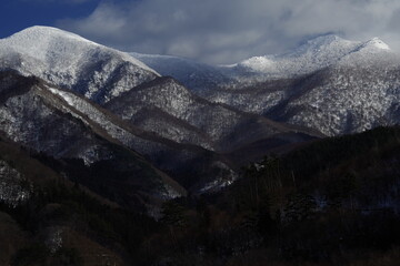 单位年度考核工作情况报告
