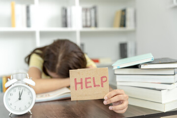 介绍植物的手抄报