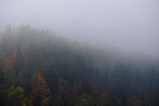 金刚石是由原子构成的-