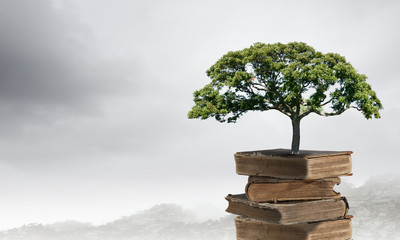 花木的象征意义