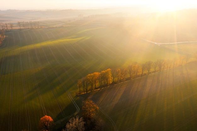 白雪公主童话故事简短