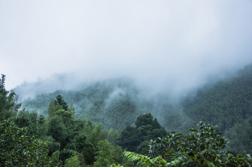 生活中有哪些法律保护
